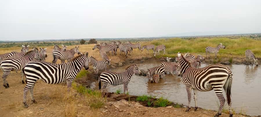 Crescent Island And Boat Ride Day Trip - Lake Naivasha Banana Boat Ride: Why It’s More Than Fun