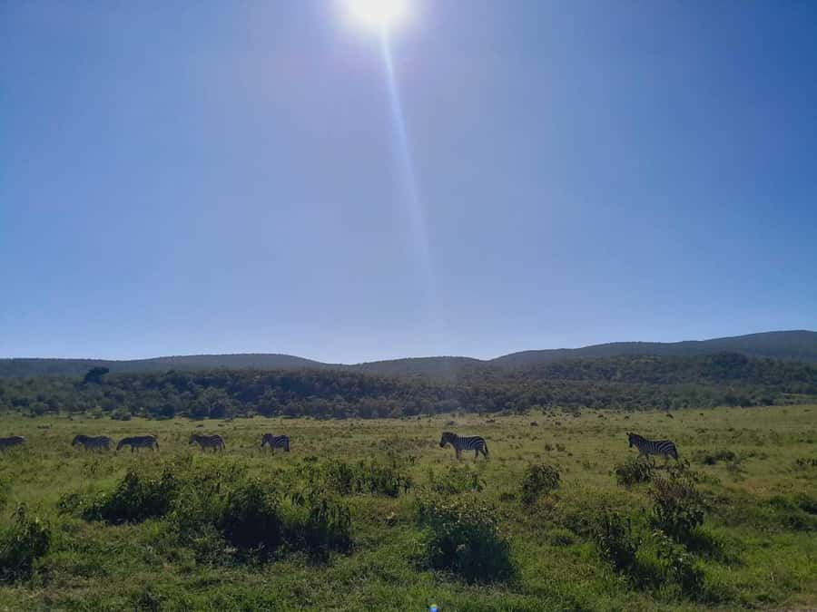 Daily Hell's gate National Park Ebike Cycling - Quick packing list that keeps the day comfortable