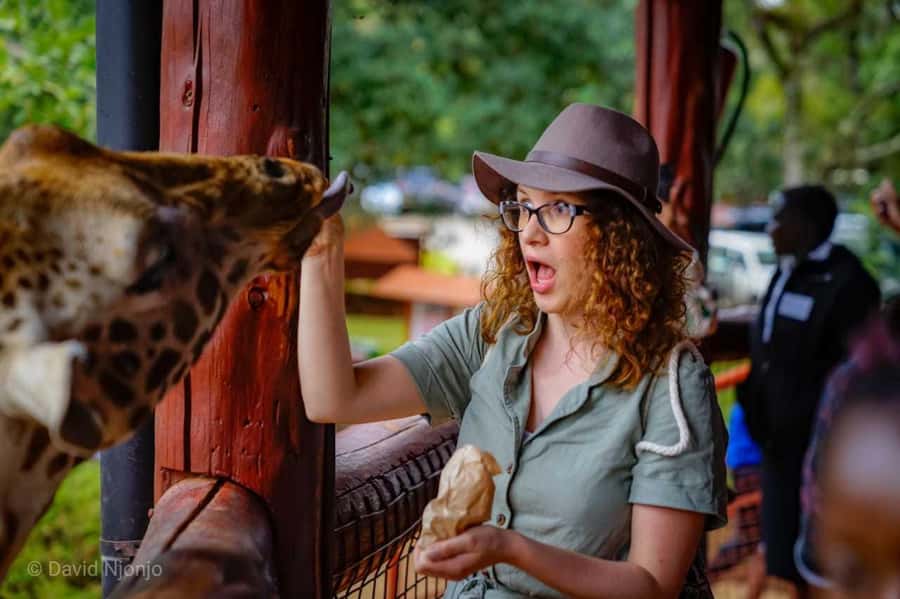 David Sheldrick Wildlife Trust & Giraffe Center with Lunch - From Giraffe Kisses to Elephant Orphans, Why This Half-Day Works