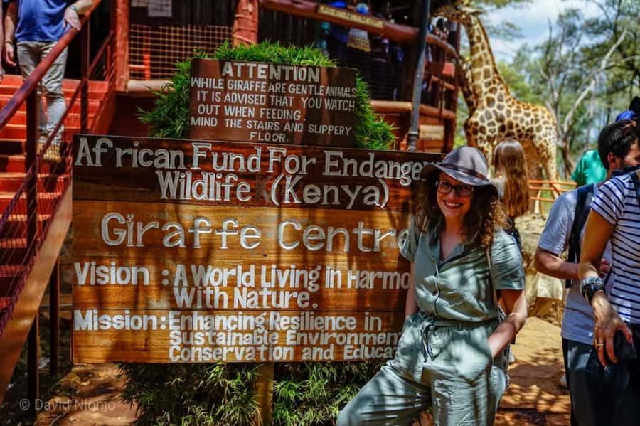 David Sheldrick Wildlife Trust & Giraffe Center with Lunch - David Sheldrick Wildlife Trust: Giraffe Feeding and Conservation Storytelling