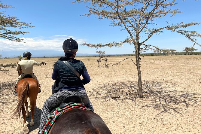 Day safari to Olpejeta Rhino conservancy - Ol Pejeta Conservancy and the Chimpanzee Sanctuary Experience