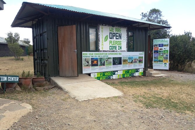Day safari to Olpejeta Rhino conservancy - White Rhinos Up Close: The Special Ranger Touch