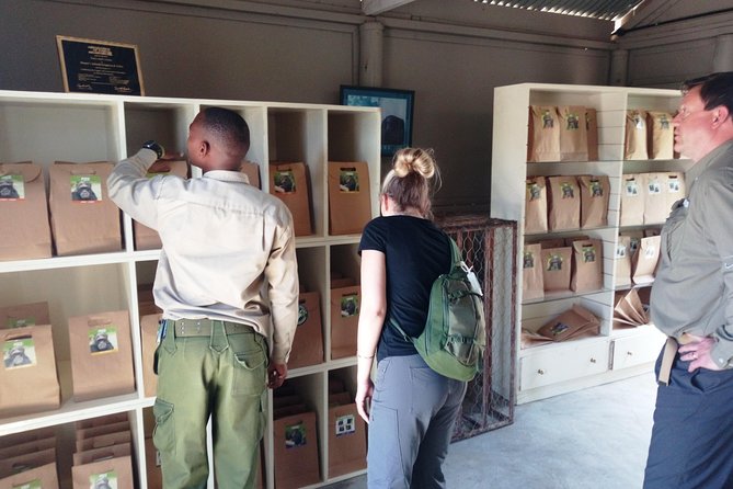 Day safari to Olpejeta Rhino conservancy - The Guide Experience: When Punctuality and Tailoring Matter
