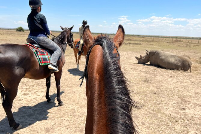 Day safari to Olpejeta Rhino conservancy - Nanyuki Coffee Break: Short, Practical, and Worth It