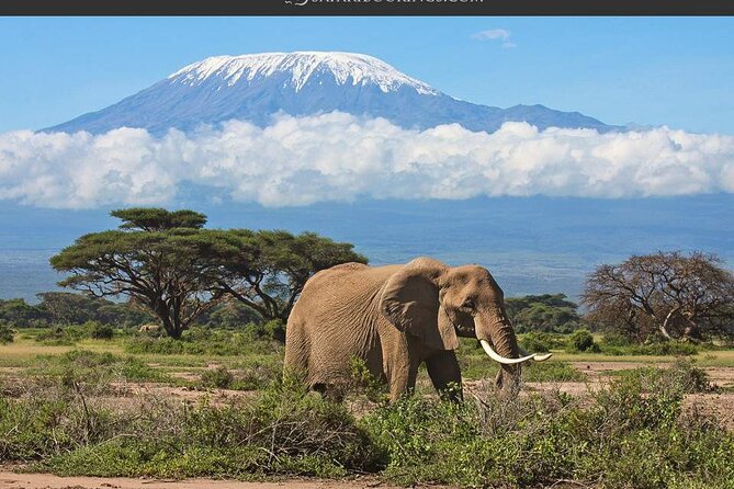 Day Tour - Amboseli National Park From Nairobi - The Nairobi to Amboseli Day Trip, and Why It Works