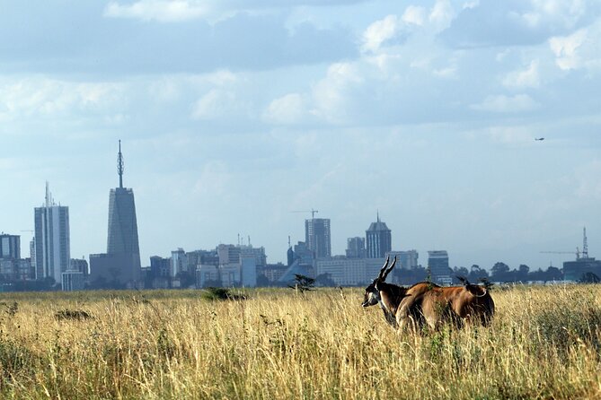 Day Tour at Nairobi National Park and Giraffe Centre - Key Points Worth Your Time