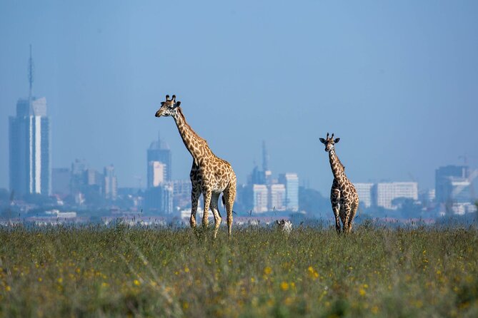 Day Tour at Nairobi National Park and Giraffe Centre - Giraffe Centre: Conservation Education You Can Actually Observe