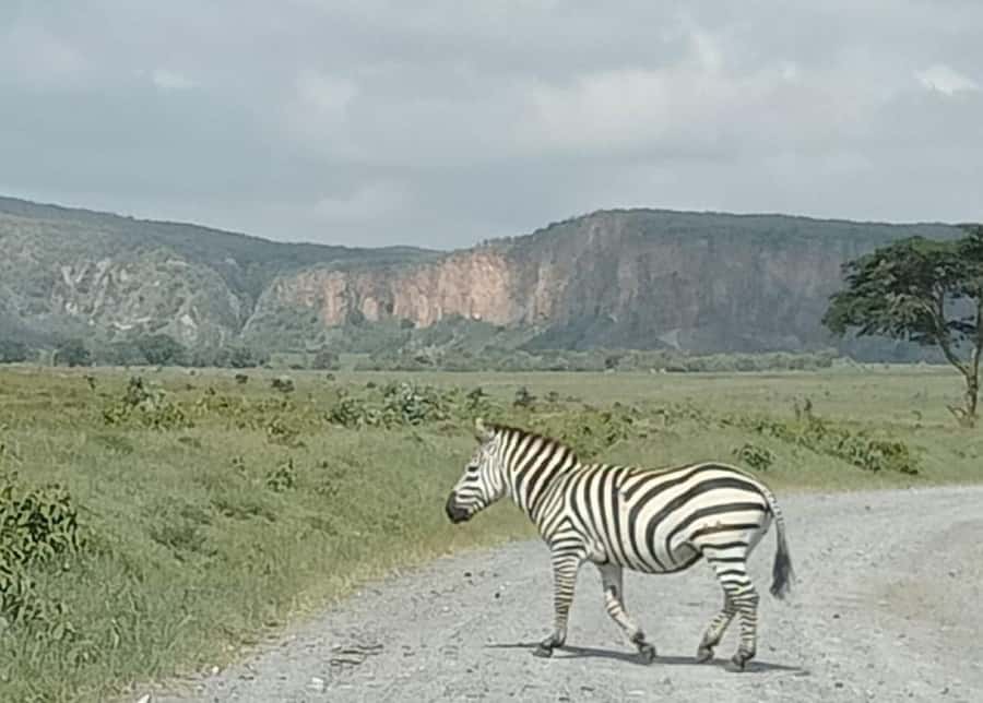 DAY TOUR- LAKE NAIVASHA AND HELL'S GATE PARK-WITH PARK FEES - Hells Gate biking safari, 2 hours of motion and gorges on foot
