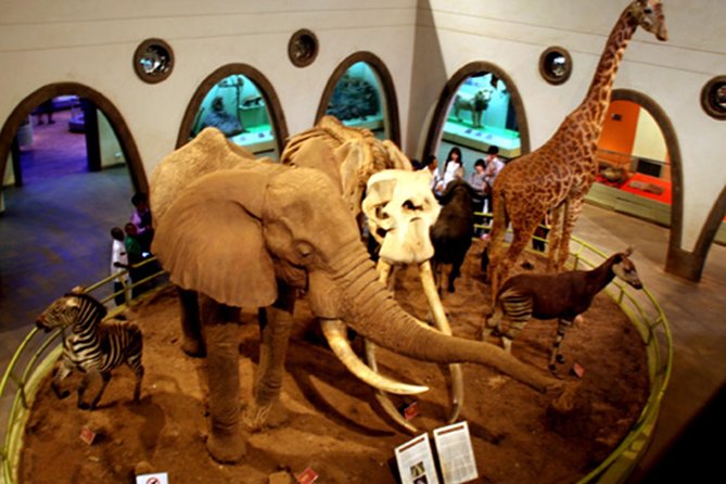 Day Tour Nairobi Museum, Giraffe Centre & Nairobi National Park - Nairobi National Park game drive, 2 pm to close, with city views