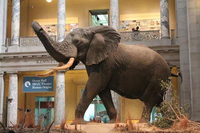 Day Tour Nairobi Museum, Giraffe Centre & Nairobi National Park - Guides and the difference a good driver makes in the park