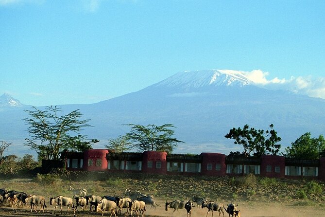 Day Tour to Amboseli National Park - Observation Hill: the short walk that changes your view