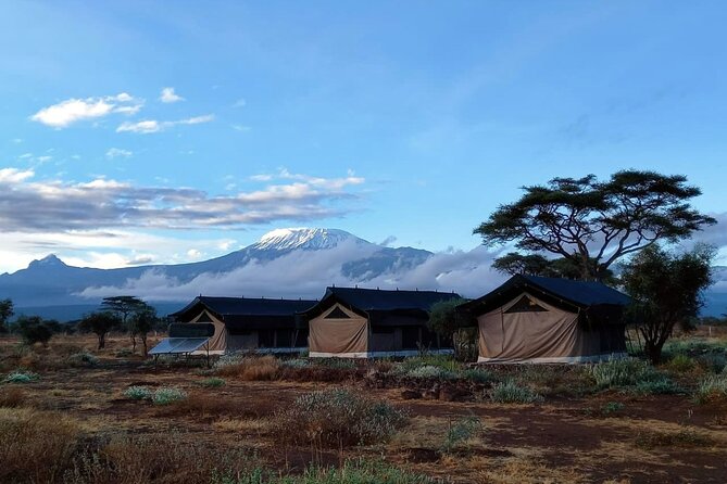 Day Tour To Amboseli National Park From Nairobi - Stop 3 at Observation Hill: a short walk that pays off fast