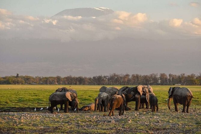 Day tour to Amboseli national park - The early 5:00am start and the Nairobi to Amboseli drive