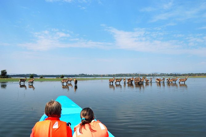 Day Tour To Hell's Gate National Park and Optional Boat Ride on Lake Naivasha. - What If the Gorges Are Closed? Expect Route Adjustments and Still Get the Story