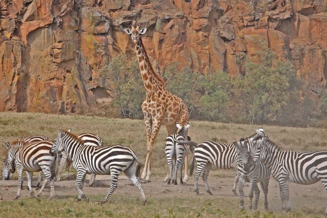 Day tour to Hells Gate, Lake Naivasha and Crescent Island Walk - Price and value: what your $160 actually buys