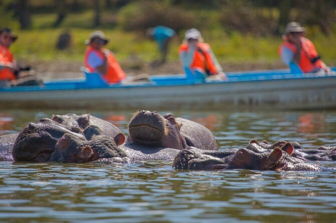 Day tour to Hells Gate, Lake Naivasha and Crescent Island Walk - Who should book, and who should skip Hell’s Gate cycling