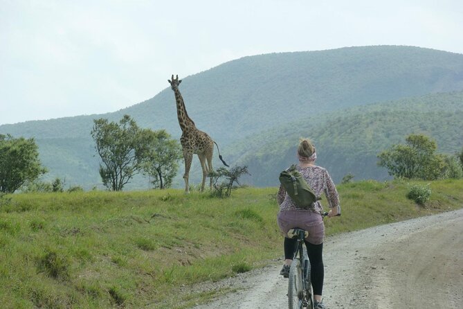 Day tour to Hells Gate, Lake Naivasha and Crescent Island Walk - Practical tips that keep the day from getting annoying