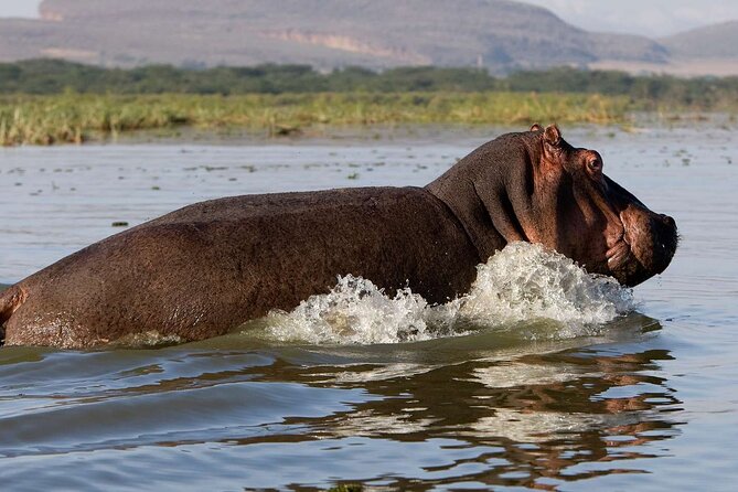 Day tour to Hells Gate, Lake Naivasha and Crescent Island Walk - Rift Valley viewpoints and your Naivasha lunch break