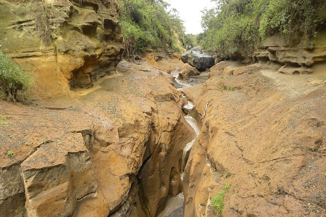 Day tour to Hells Gate Park and Lake Naivasha - Price and Value: What $137.83 Buys You on This Day Trip