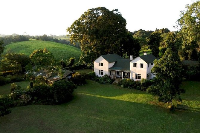 Day Tour To Kiambethu Tea Farm in Limuru - Lunch on the verandah with Ngong Hills views