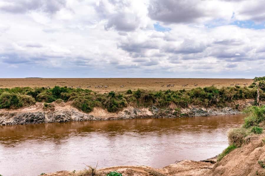 Day Tour to Maasai Mara & optional Maasai village visit - First sightings from Sekenani Gate, and why the vehicle matters