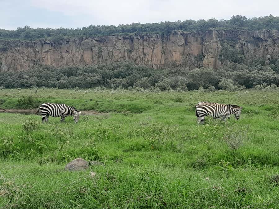 Day tour to Mount Longonot - Hiking to the Rim: The Climb That Makes the Views Worth It