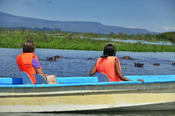 Day Tour To Mount Longonot Park From Nairobi - Lake Naivasha boat ride: birds, hippos, and the best kind of waiting