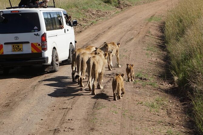 Day Tour to Nairobi National Park and Giraffe Center - Your day plan in Nairobi: timing, travel, and that free Nairobi window