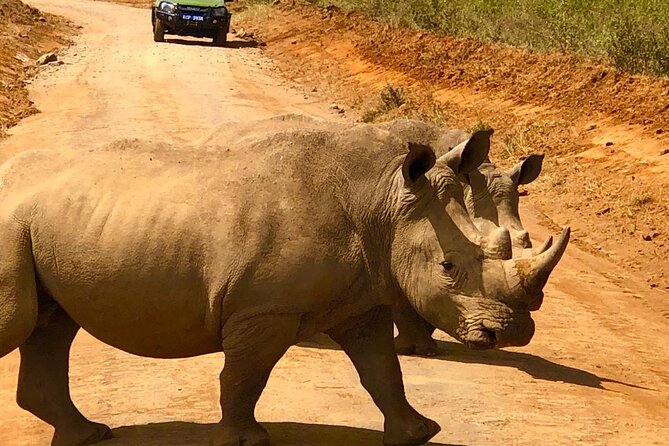 Day Tour to Nairobi National Park and Giraffe Center - Guides are the difference maker here, and you can feel it