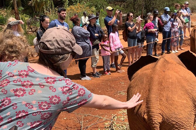 Day Tour to Nairobi national park, Elephants, and Giraffe Center - Price and Value: What You Really Pay for the Day
