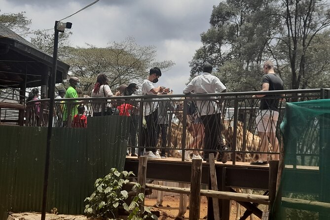 Day Tour to Nairobi national park, Elephants, and Giraffe Center - The Guide and the Group Dynamic, Including Douglas
