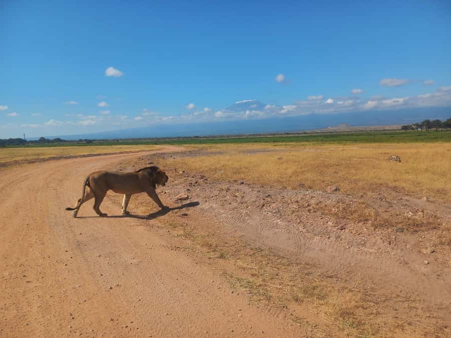 DAY TRIP AMBOSELI PARK FROM NAIROBI AND MASAI VILLAGE. - What to pack so the day stays enjoyable