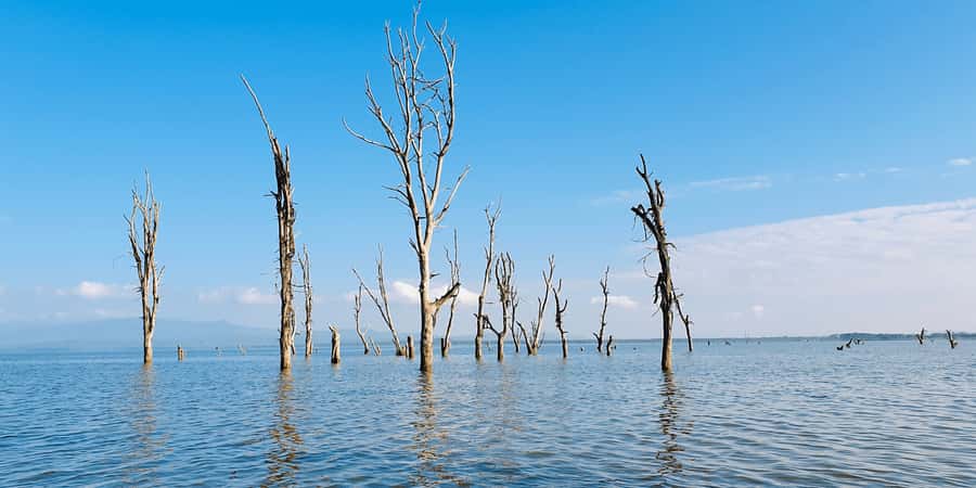 Day Trip: Hell's Gate Bike Ride & Lake Naivasha Boat Ride - Lunch Near the Park: Budget Smart and Keep Your Timing in Mind