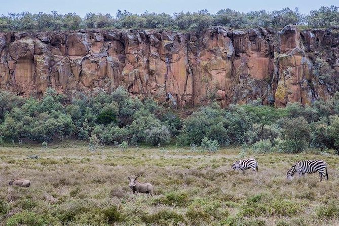 Day Trip -Hells Gate & Lake Naivasha With Boat Ride From Nairobi - Group Size, Guidance, and How to Get Better Wildlife Results