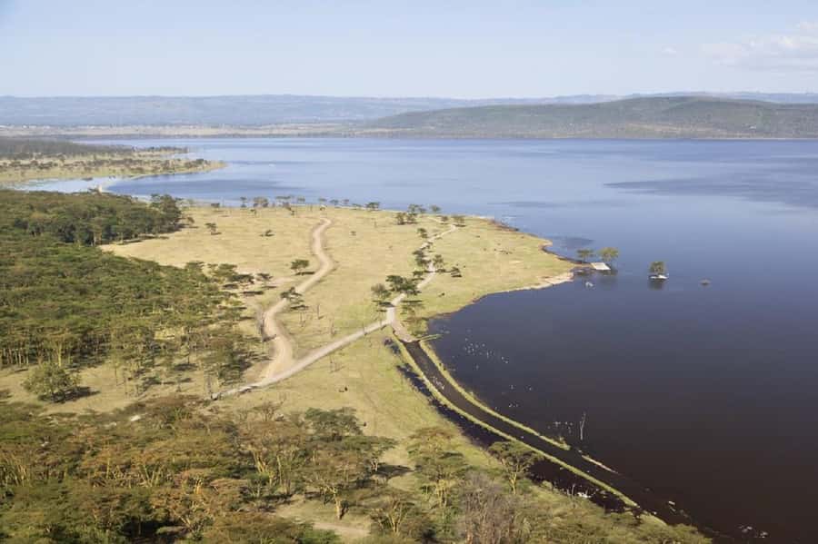 Day trip lake Naivasha and Hells gate - Picnic lunch in Hell’s Gate: simple, practical, and timed well