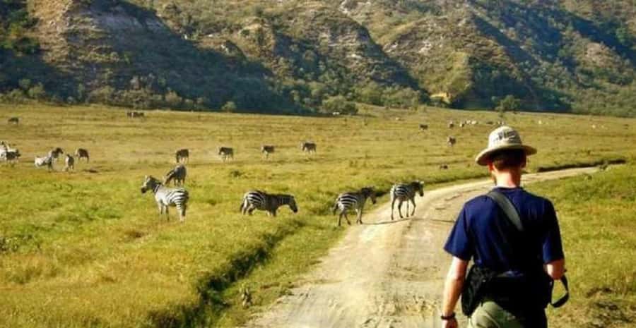 Day trip lake Naivasha and Hells gate - Wildlife spotting tips that actually help