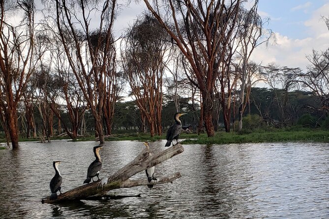Day trip to Hells Gate National Park with boat ride on Lake Naivasha - Why Hells Gate plus Lake Naivasha works so well in one day