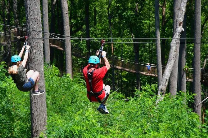 Day Trip to Kereita Forest and Ziplining - Kereita Forest in the Aberdares, where nature meets hard history