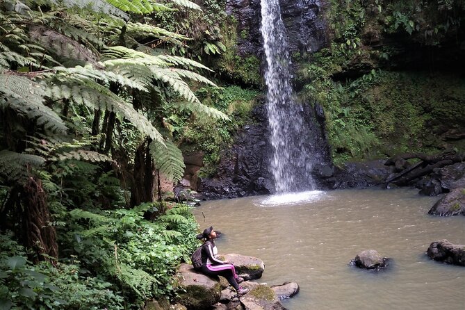 Day Trip to Kereita Forest and Ziplining - Elephant Pool and the Gatamaiyu River approach to Kereita Waterfall