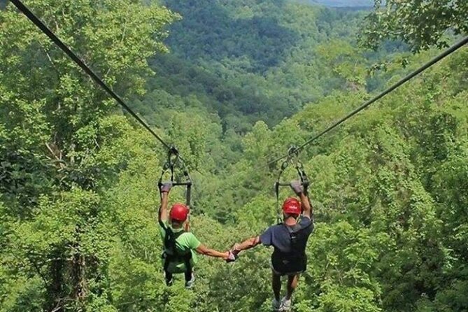 Day Trip to Kereita Forest and Ziplining - Ziplining at Kereita Forest: what it costs and how to budget