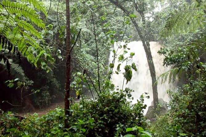 Day Trip to Kereita Forest and Ziplining - What to pack for a long walk plus optional activities