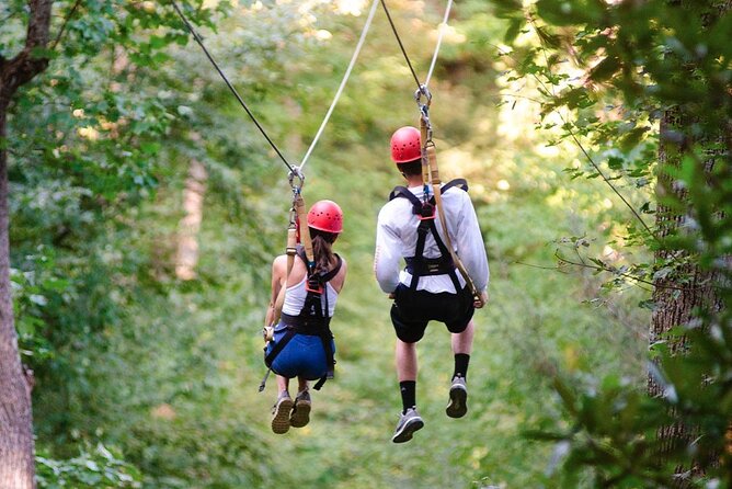 Day Trip to Kereita Forest and Ziplining - Carbacid Forest Gate to the CO2 spring: a walk with a science twist