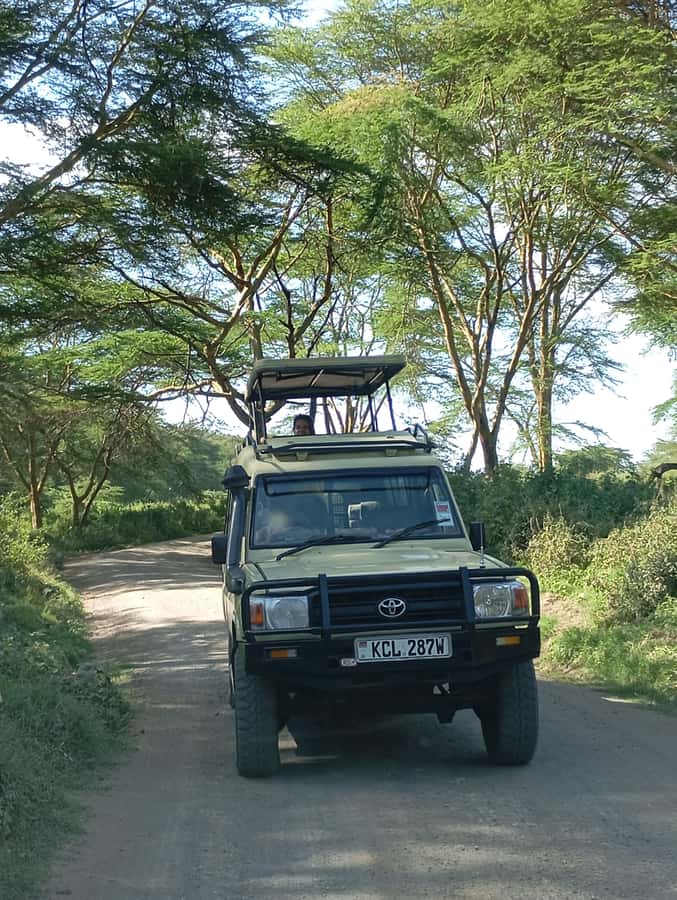 Day Trip to Lake Nakuru National Park from Nairobi - Why Lake Nakuru Works So Well as a One-Day Safari