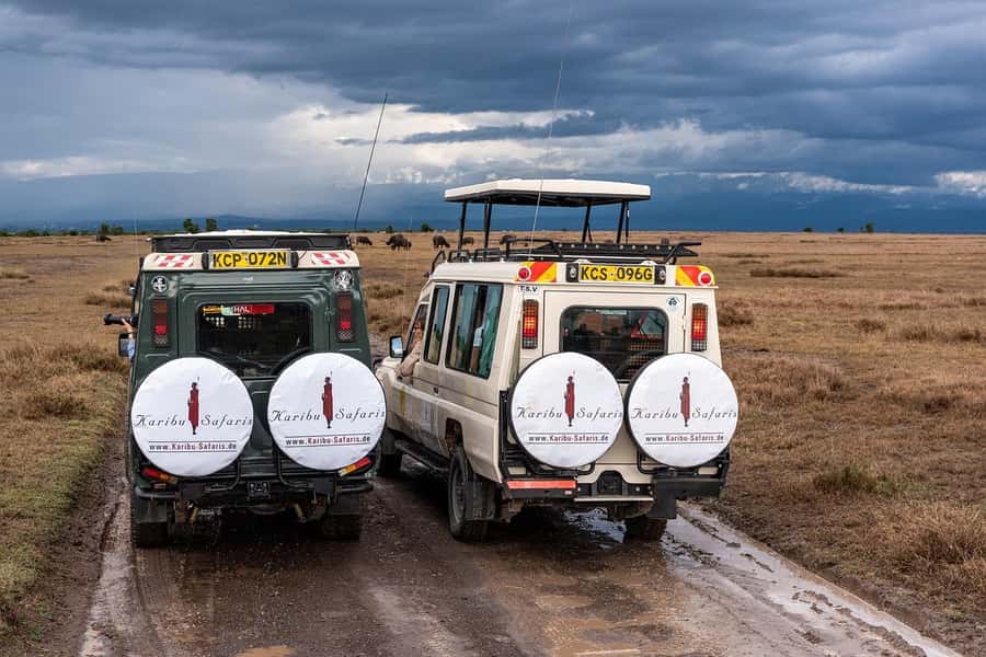 Day Trip to Lake Nakuru National Park from Nairobi - Picnic Lunch Inside the Park: Why Timing Makes It Feel Like More Than a Meal
