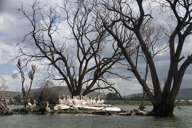 Day Trip to Mt. Longonot with Boat Ride in Lake Naivasha - The Weather Flip Factor You Can’t Control
