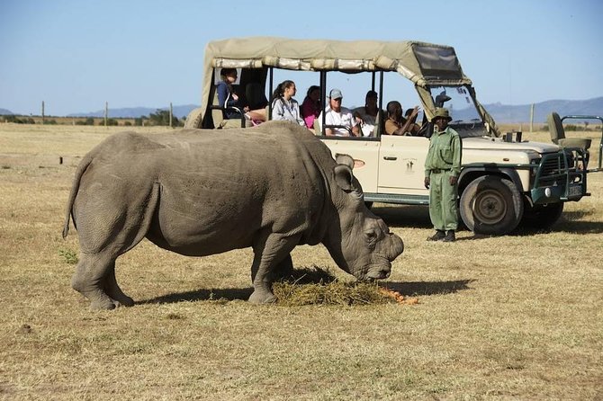 Day trip to Ol Pejeta conservancy from Nairobi - A long Nairobi-to-Ol Pejeta day that feels focused