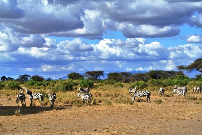 Day Trip - Tsavo East National Park ( Man Eater Lions of Tsavo & Other Big Five) - First, what you are really buying: a long-drive wildlife day