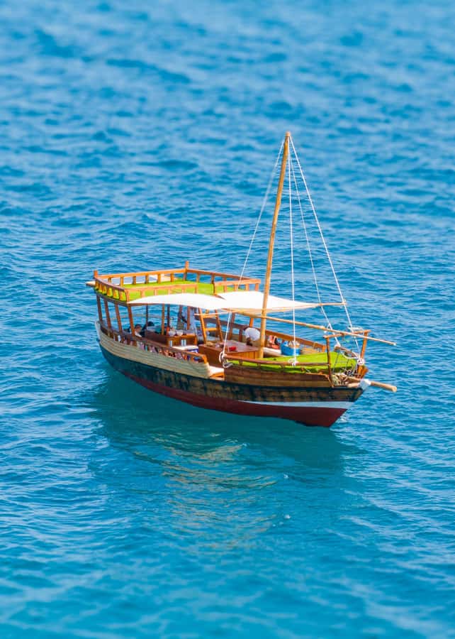 Dhow Adventure to Wasini Island & Kisite Marine Park - Dolphins on the Route, Chance Encounters Done Responsibly