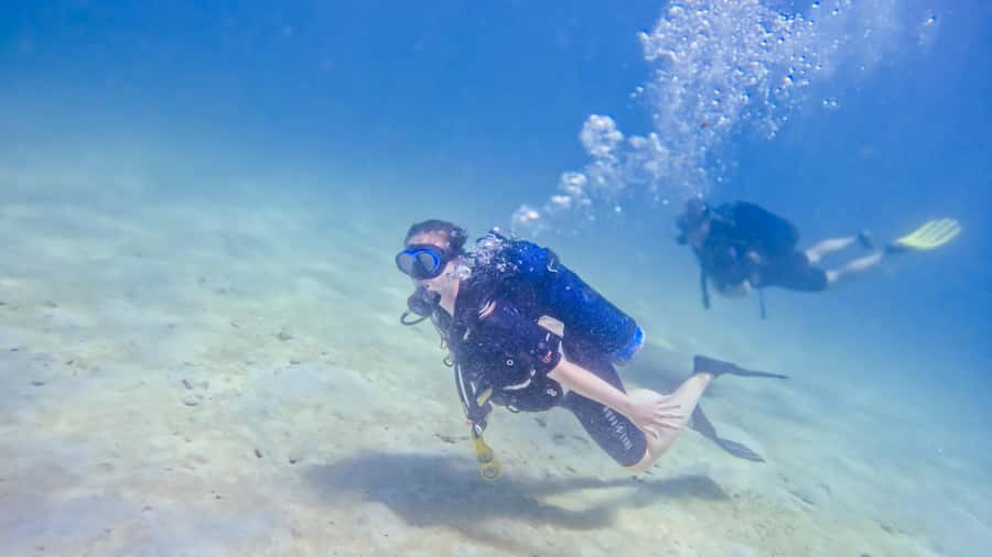 Dhow Adventure to Wasini Island & Kisite Marine Park - Sandbank Time, and Why Tides Can Change the Plan