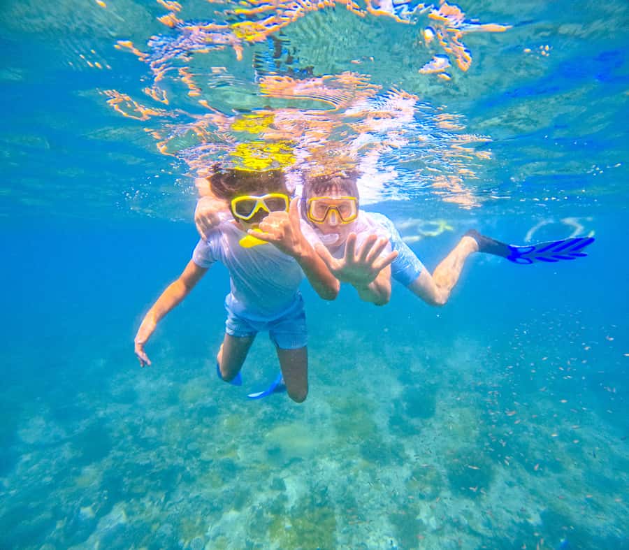 Dhow Adventure to Wasini Island & Kisite Marine Park - Comfort and Safety, Including Gear That Makes Snorkeling Easier